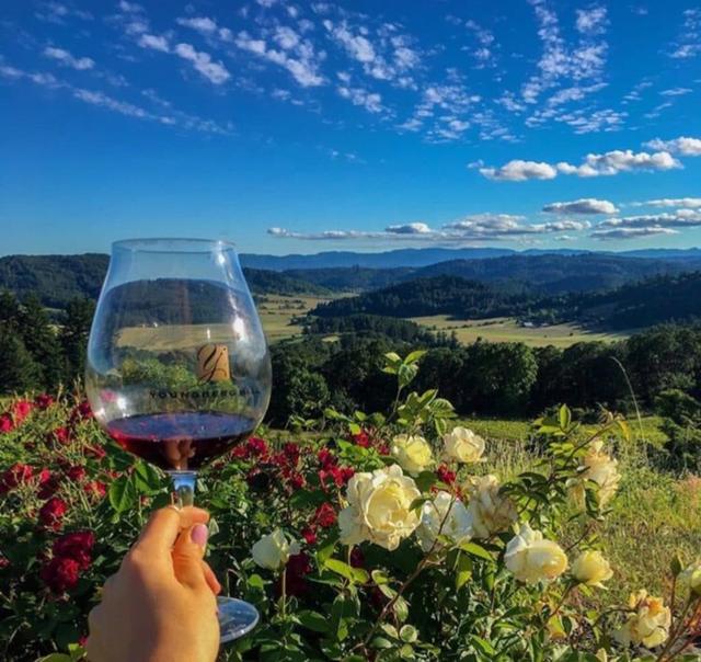 OREGON WINE TOURS 