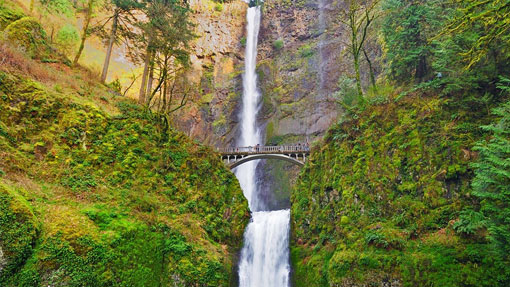 Multnomah Falls Tour Oregon